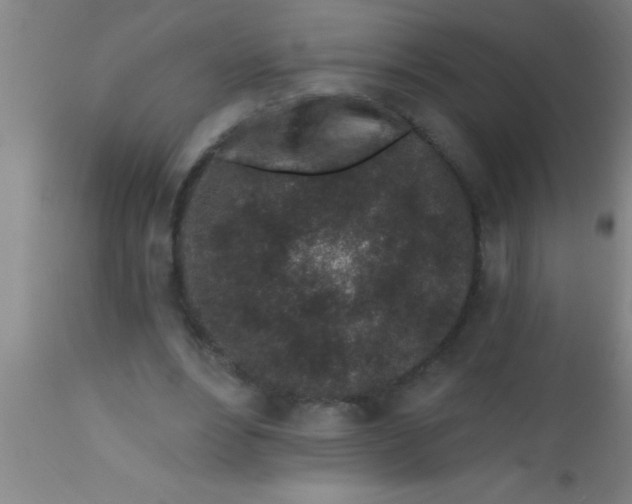 X0000112520488200909071337