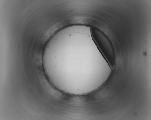 X0000112520489200909071337
