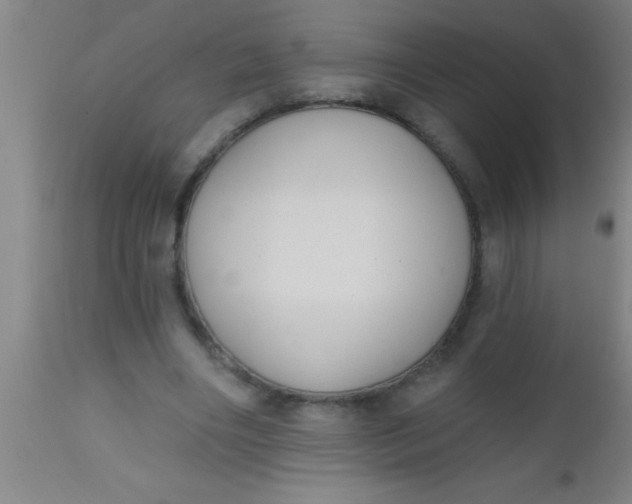 X0000112520490200909071337