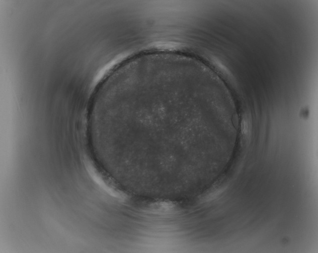 X0000112520492200909071337