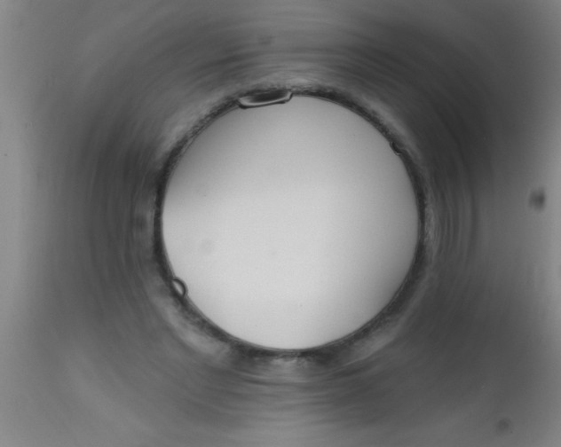 X0000112520493200909071337