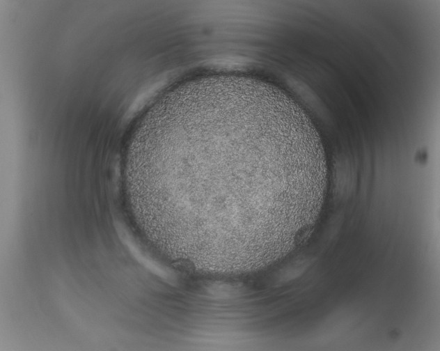 X0000112520494200909071337