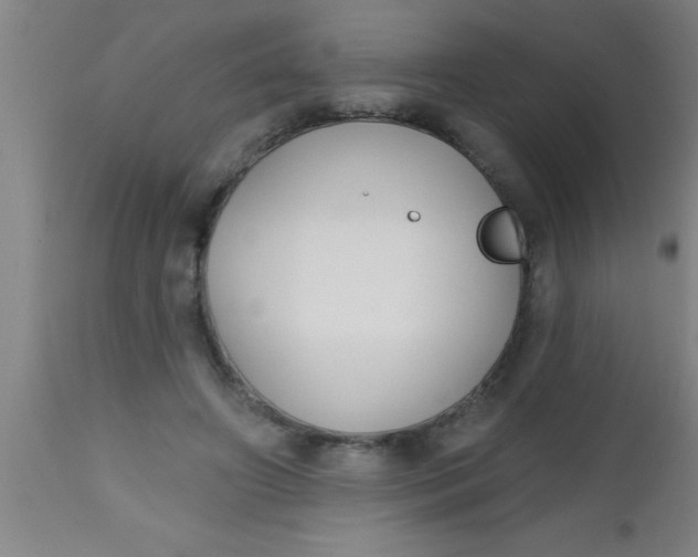 X0000112520498200909071337