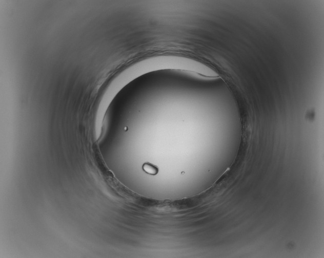 X0000112520500200909071337