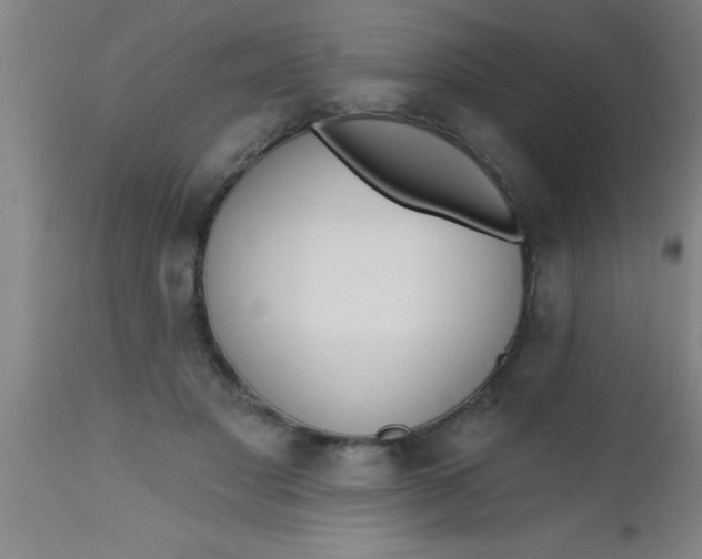 X0000112520501200909071337