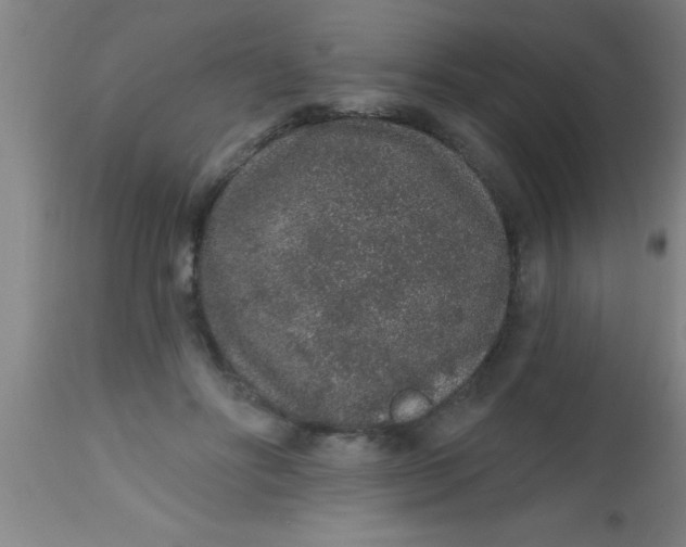 X0000112520502200909071337