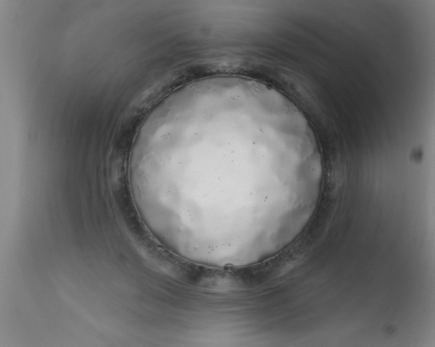 X0000112520503200909071337
