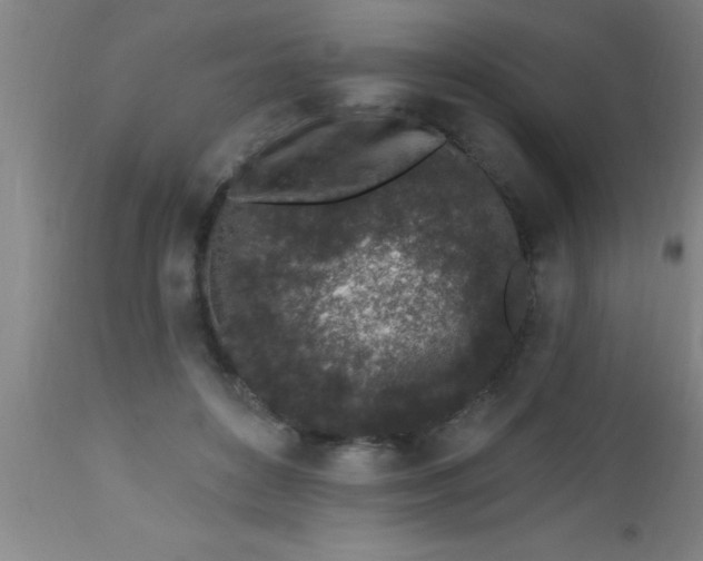 X0000112520504200909071337