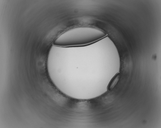 X0000112520505200909071337