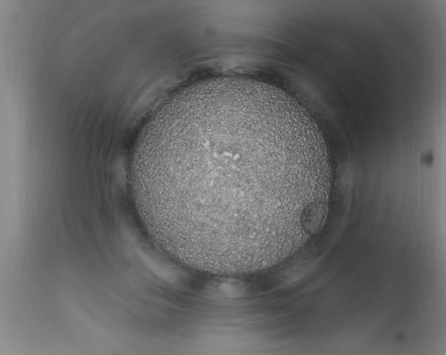 X0000112520506200909071337
