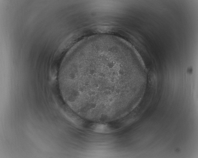 X0000112520507200909071337