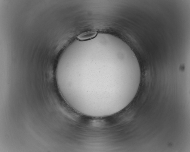 X0000112520508200909071337