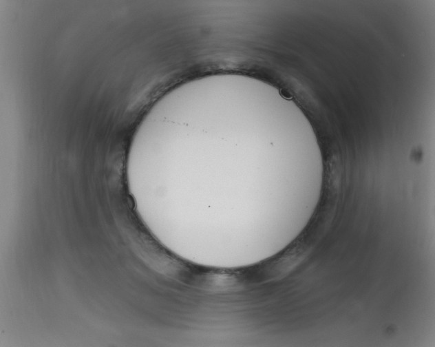 X0000112520509200909071337