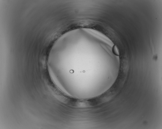 X0000112520510200909071337