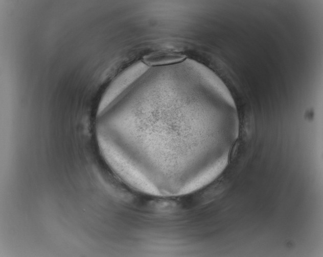 X0000112520512200909071337