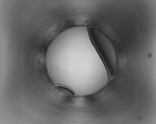 X0000112520513200909071337