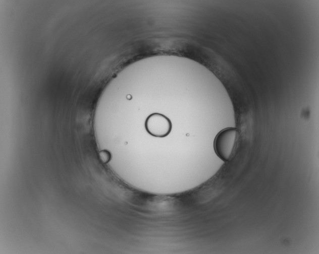 X0000112520514200909071337