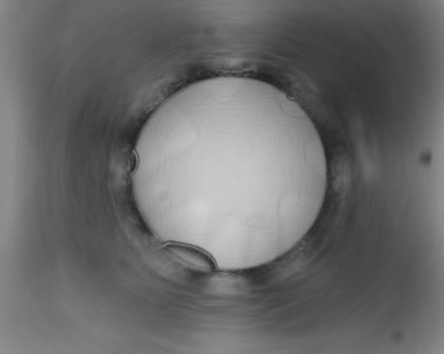 X0000112520515200909071337