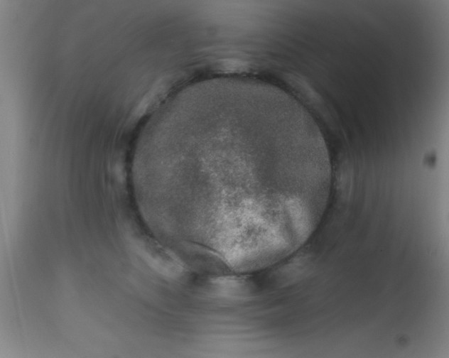 X0000112520516200909071337