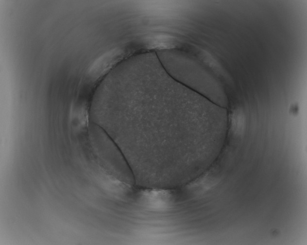 X0000112520517200909071337