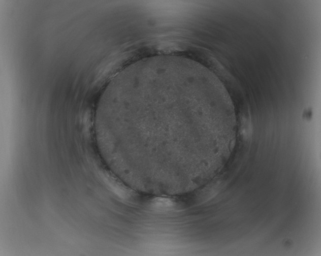 X0000112520519200909071337