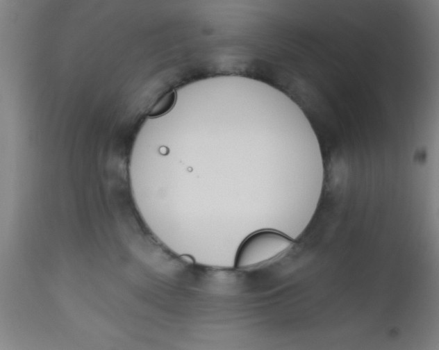 X0000112520522200909071336