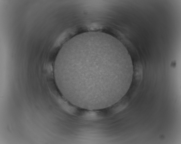 X0000112520523200909071336
