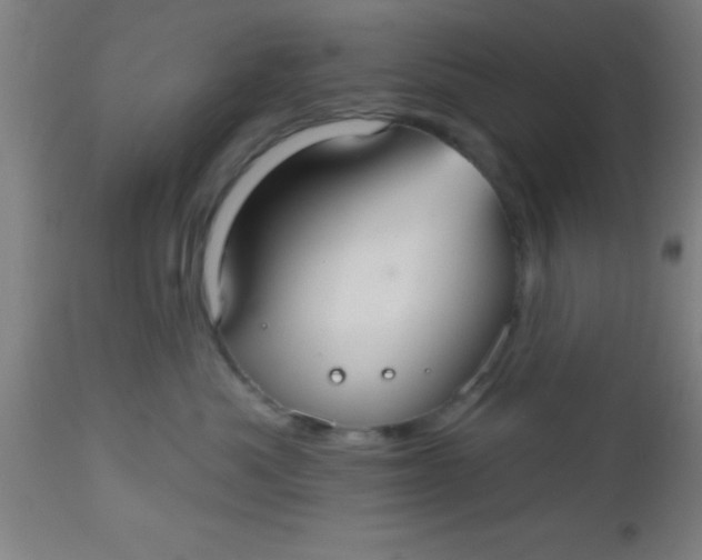 X0000112520525200909071336