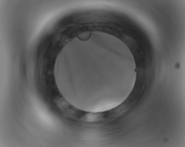 X0000112520526200909071336