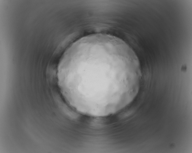 X0000112520527200909071336