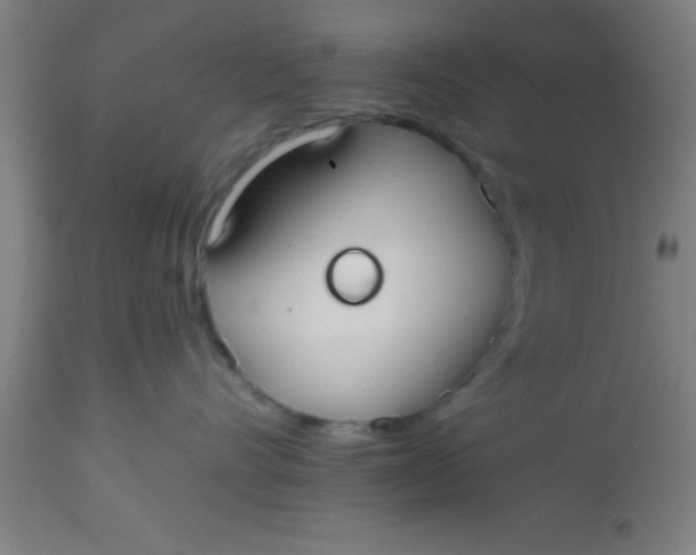 X0000112520528200909071336
