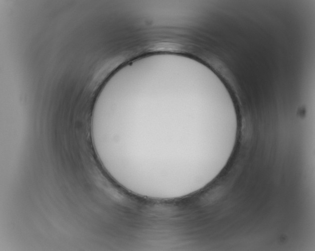 X0000112520529200909071335