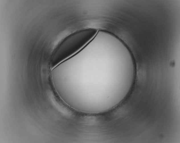 X0000112520530200909071335
