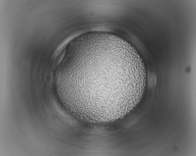 X0000112520531200909071335