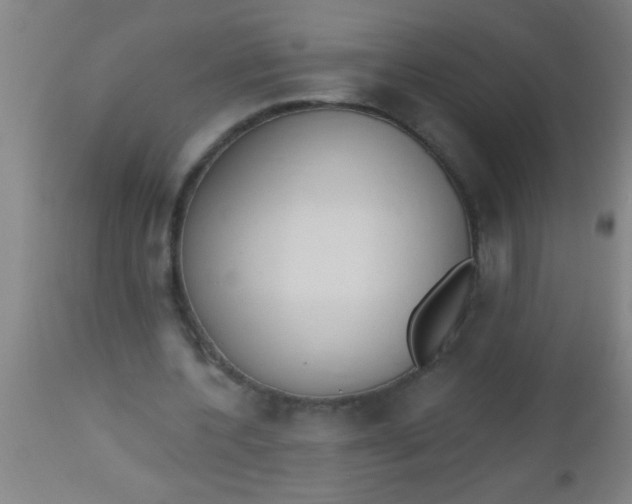 X0000112520532200909071335