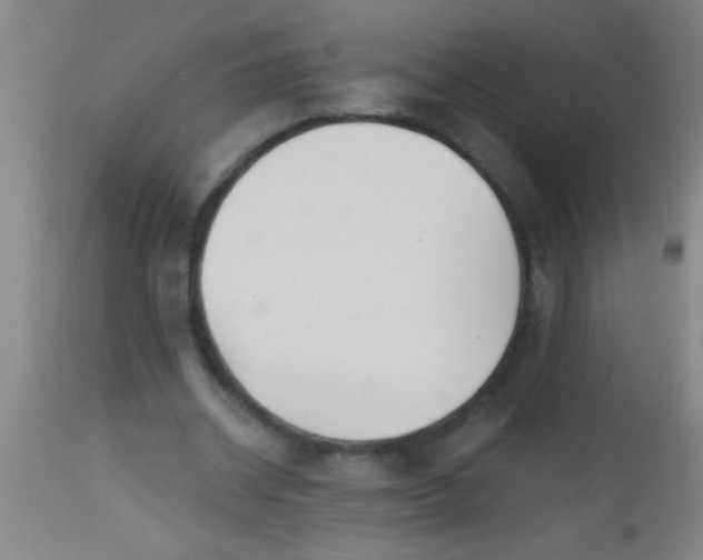 X0000112520534200909071335