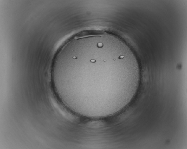 X0000112520536200909071335