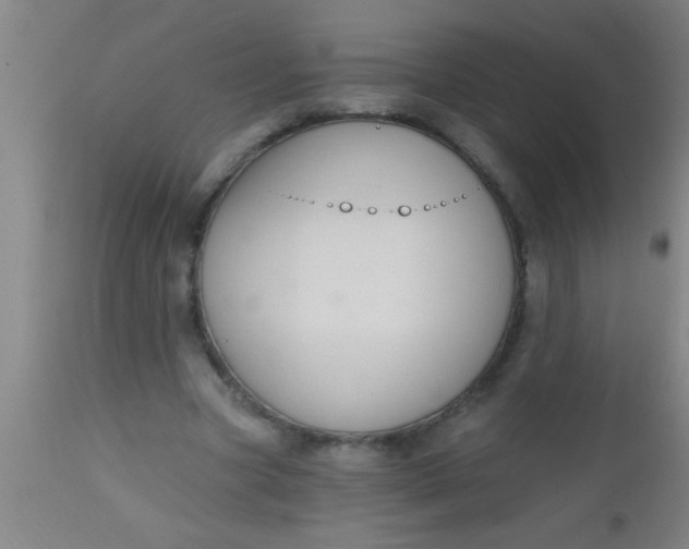 X0000112520537200909071335