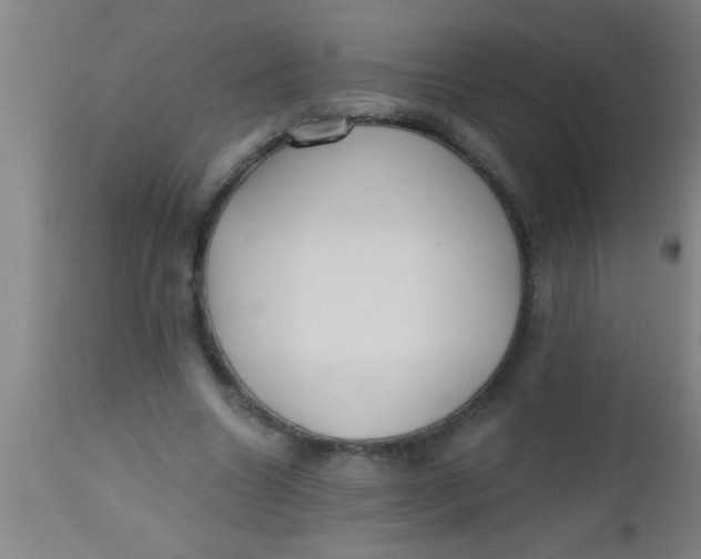 X0000112520538200909071336