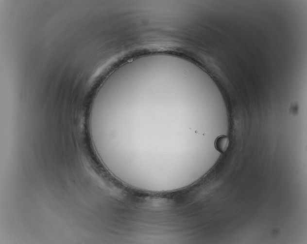 X0000112520539200909071336