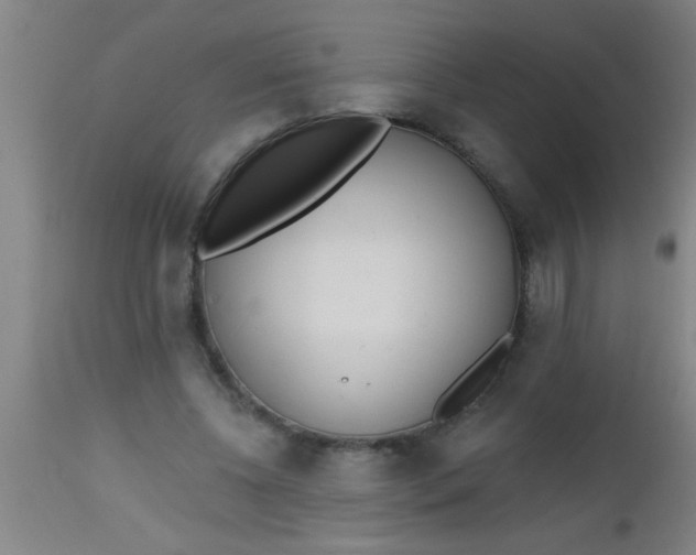 X0000112520540200909071336