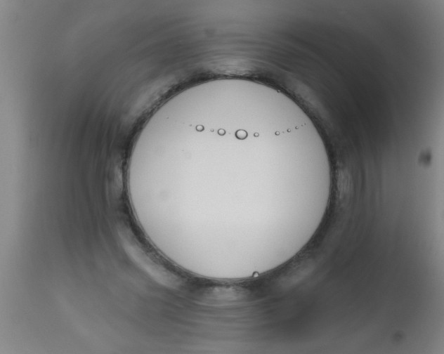 X0000112520541200909071336