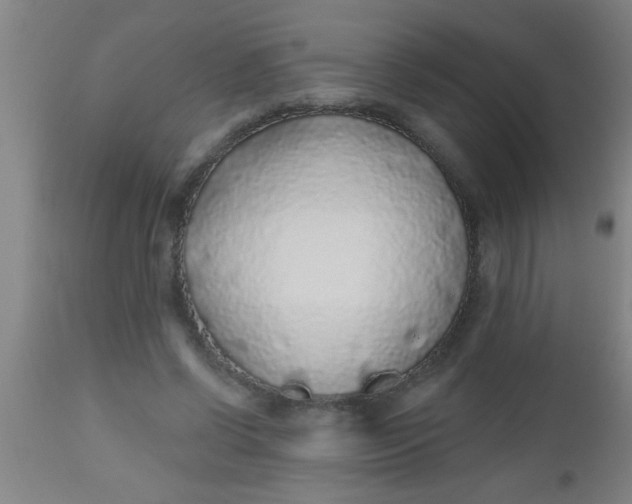 X0000112520542200909071336