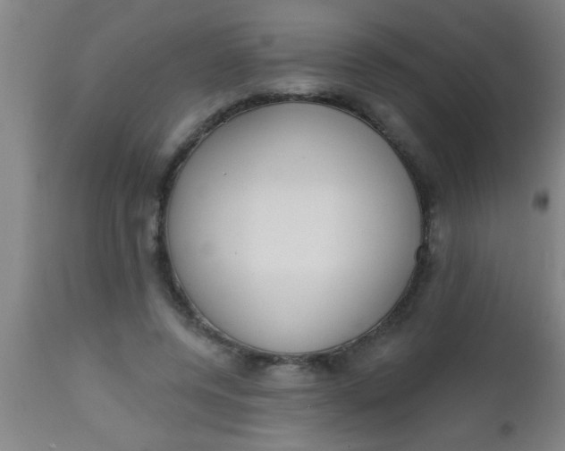 X0000112520544200909071336