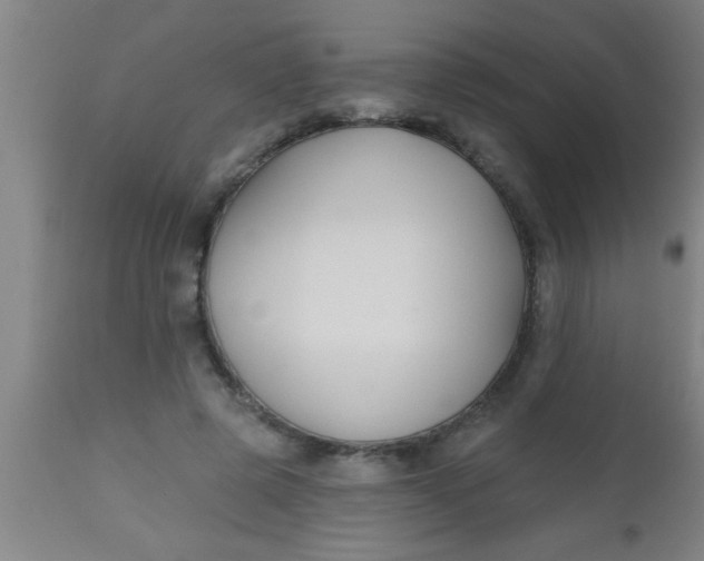 X0000112520545200909071336