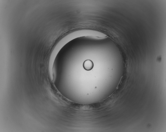 X0000112520546200909071336