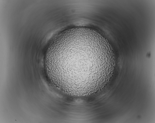 X0000112520547200909071336