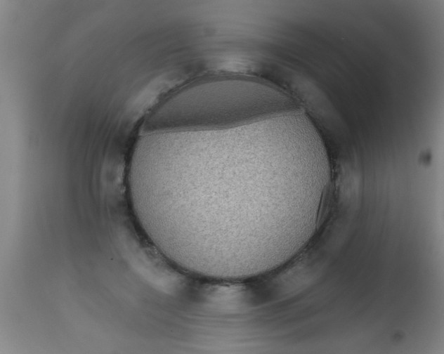 X0000112520548200909071336