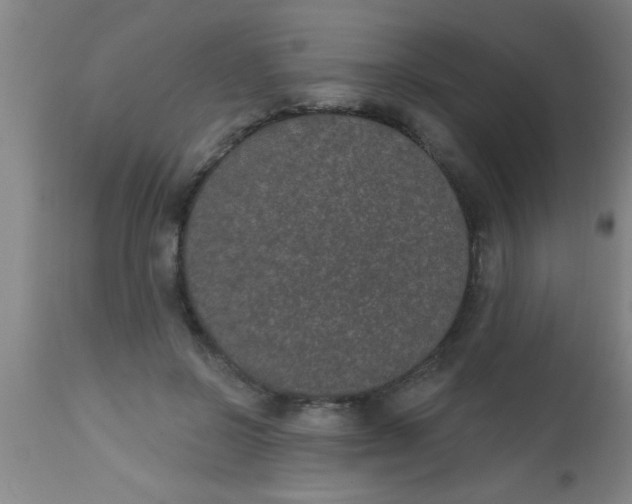 X0000112520550200909071336