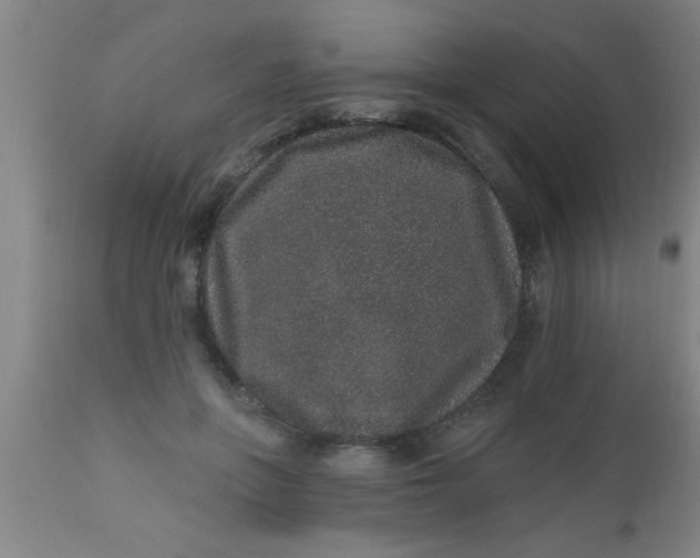 X0000112520551200909071336